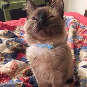 Meet your Posher, Ingrid